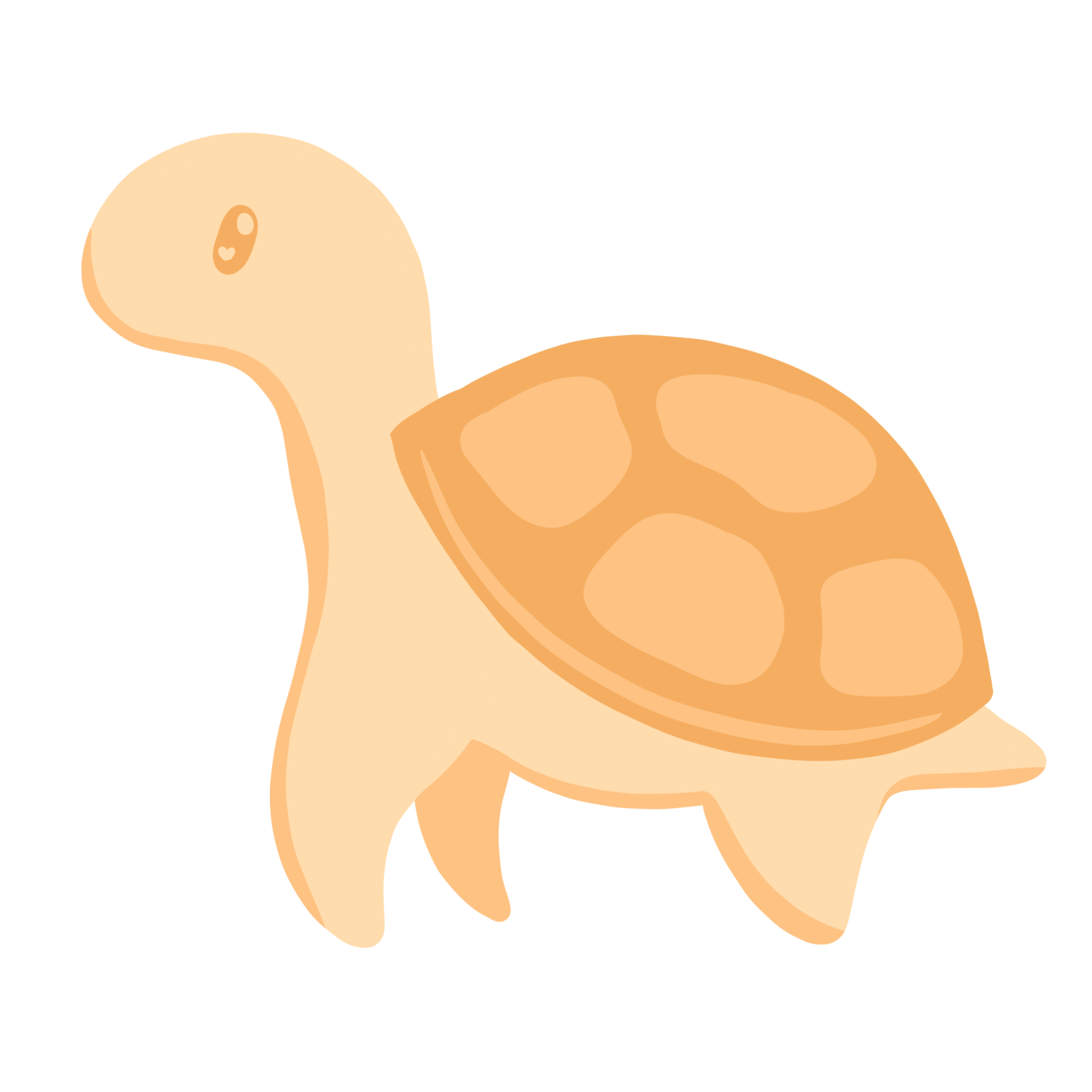Schildkröte