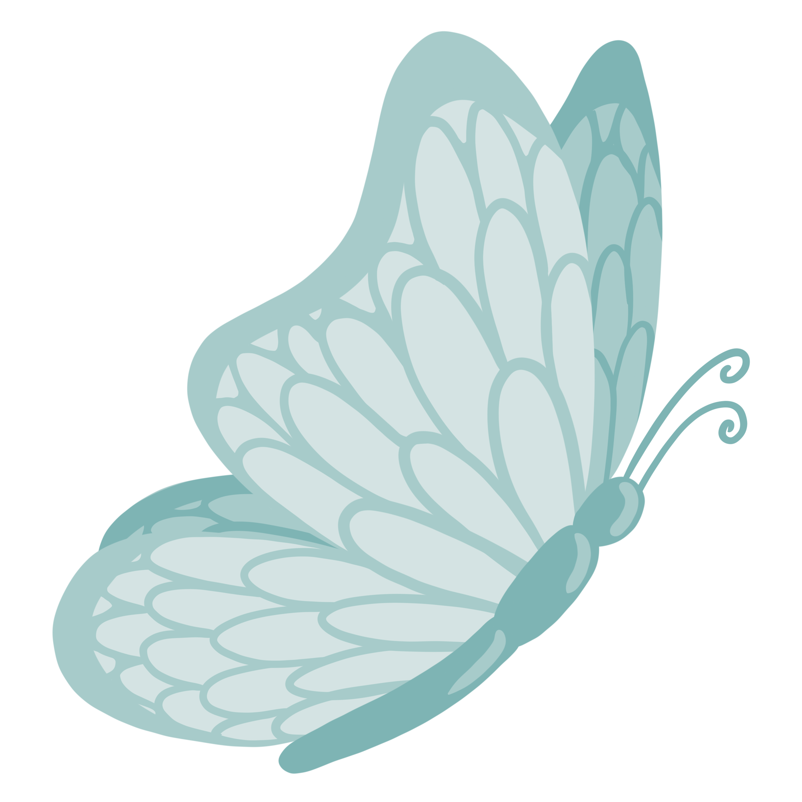 Schmetterling